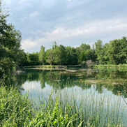 Sortie nature au plan d’eau de Rumilly