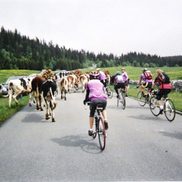 Bourse aux vélos à Rumilly