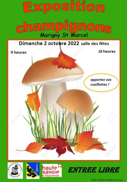 Exposition champignons