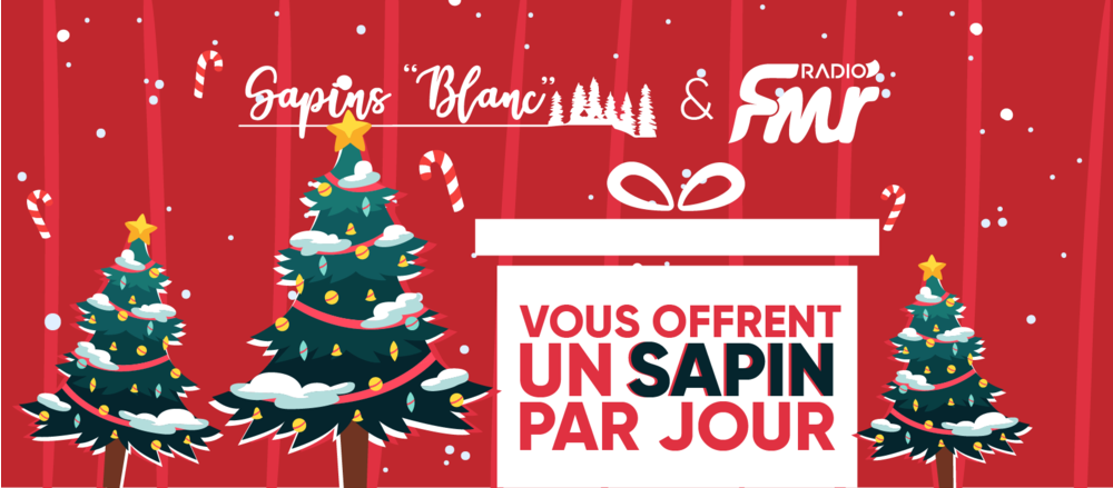 fmr-couv-sapin-202011