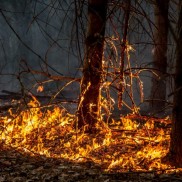 Haute-Savoie : Vigilance aux feux de broussailles.