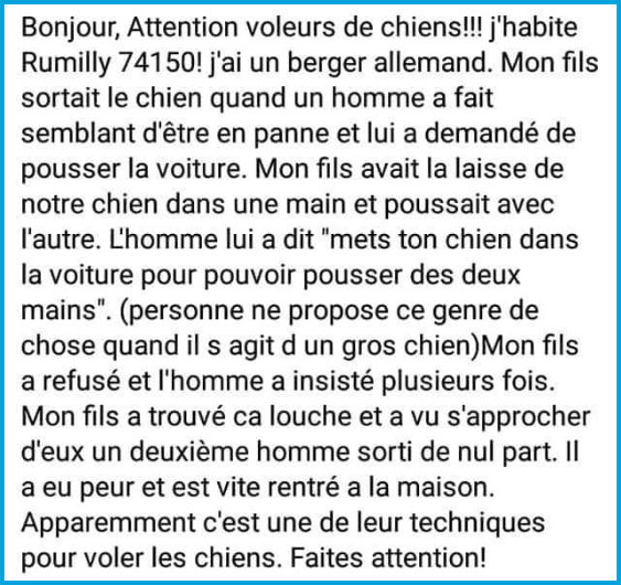 Vol chien Rumilly