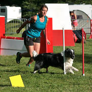 Concours d’Agility à Argonay