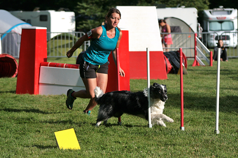 Concours Agility Argonay