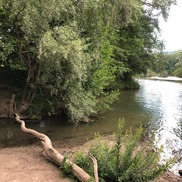 Présence de PFAS : l’ARS recommande de ne pas consommer ...