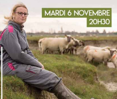 la guerre des moutons
