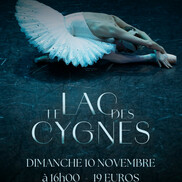 Opéra au Cinéma : Le Lac des Cygnes