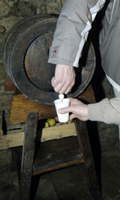 La chèvre