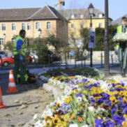 Rumilly : Entretiens des espaces verts, vers de nouvelles pratiques !