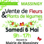 Vente de Fleurs et Plants de légumes Bio à Massingy