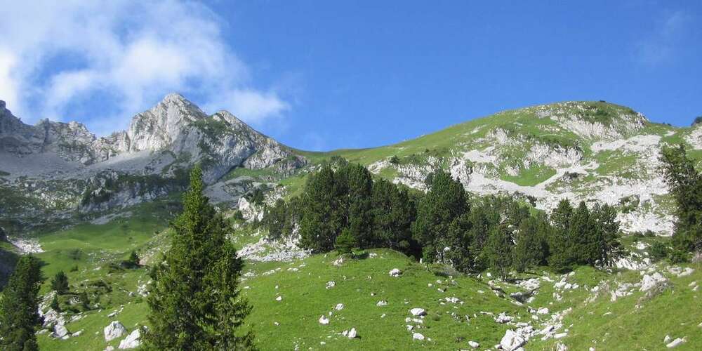 parc des bauges
