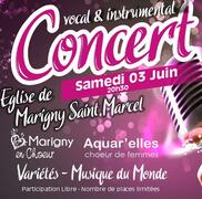 Concert vocal et instrumental à Marigny Saint Marcel