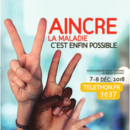 Téléthon 2018 – Défi sportif de Rumilly Actions Martiales
