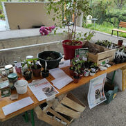 Troc plantes à Alby sur Chéran