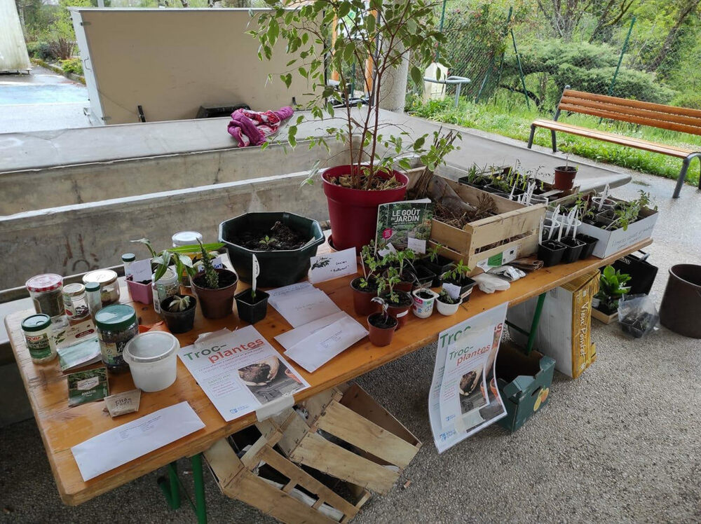 Troc plantes Alby