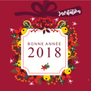 Voeux du Maire de Rumilly